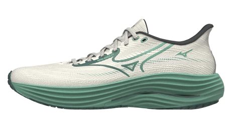 Mizuno Wave Rider 29 J1GC250309