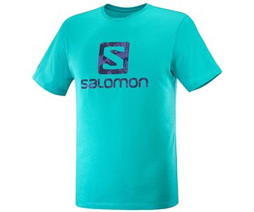 Produkt Salomon Outlife Logo SS Tee M C16499