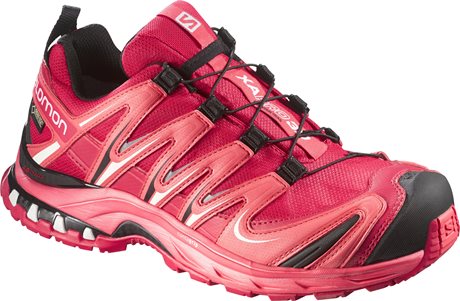Salomon XA Pro 3D GTX W 375936