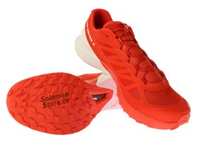 S_lab-sense-6_-391765_kompo2